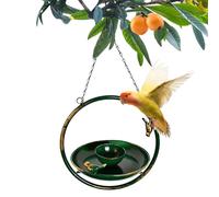 Decorative Bird Bath Bowl - Weather Resistant Garden Feeder, Outdoor Water Dish, Bird Water Feeding Station Design, Attractive Bowl for Patio Deck Balcony Window Tree Use with Stable Structure Finch