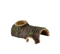 ＡＷＨＡＯ décorative en résine pour Reptiles, Grotte pour Aquarium, Maison pour Reptiles, Gecko léopard, M