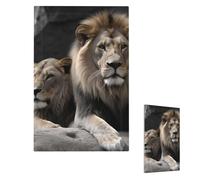 Decorator Plaque murale 1 interrupteur de taille moyenne 12,7 x 7,6 cm Plaques murales Lions mâles et femelles pour prises électriques Plaque d'interrupteur à bascule unique