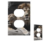 Decorator Plaque murale 1 interrupteur de taille moyenne 12,7 x 7,6 cm Plaques murales Lions mâles et femelles pour prises électriques Plaque d'interrupteur à bascule unique