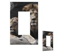 Decorator Plaque murale 1 interrupteur de taille moyenne 12,7 x 7,6 cm Plaques murales Lions mâles et femelles pour prises électriques Plaque d'interrupteur à bascule unique