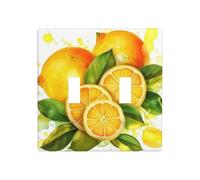 Decorator Plaque murale 2 interrupteurs à bascule Taille standard 11,4 x 11,4 cm Plaque murale à bascule simple Cache-prise aquarelle Citron Fruit Interrupteur pour prises électriques Décor