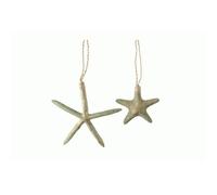 DECORAZIONE APPENDIBILE STELLA MARINA CON CORDA BLU/ORO ASSORTITA ACCESSORI DECORO CASA