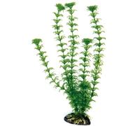 Decorazione piantina Cabomba Amtra in plastica per acquari Amtra