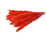 Décorer la Maison avec des Fleurs sèches, Bouquet de 15 Bouquets d'herbe de Pampa Artificielle Multicolore de 45 cm for décoration intérieure(Red)