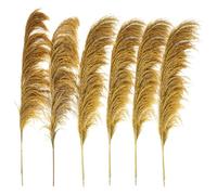 Décorer la Maison avec des Fleurs sèches, Bouquet de Fleurs séchées d'herbe de la Pampa 80-120 cm, Lot de 5, for décoration intérieure(80-120cm-06,10pcs)