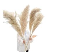 Décorer la Maison avec des Fleurs sèches, Bouquet de Fleurs séchées d'herbe de la Pampa Beige 30-75 cm, Lot de 10(10pcs Plume 51-60cm)