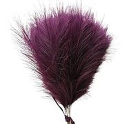 Décorer la Maison avec des Fleurs sèches, Bouquet d'herbe de la Pampa 42 cm Multicolore 1 pièce ou Lot de 5/10/30 pièces(003deep Purple,1pcs)