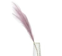 Décorer la Maison avec des Fleurs sèches, Bouquet d'herbe de Pampa Artificielle Multicolore 90 cm ou 120 cm(Light Purple,90cm)