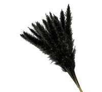 Décorer la Maison avec des Fleurs sèches, Bouquet d'herbe de Pampa Artificielle séchée Multicolore, Lot de 15(Black)