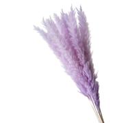 Décorer la Maison avec des Fleurs sèches, Bouquet d'herbe de Pampa Artificielle séchée Multicolore, Lot de 15(Light Purple)