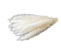 Décorer la Maison avec des Fleurs sèches, Bouquet d'herbe de Pampa Artificielle séchée Multicolore, Lot de 15(White)