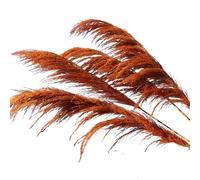 Décorer la Maison avec des Fleurs sèches, Herbe de Pampa Artificielle séchée Multicolore, Lot de 2(Orange)