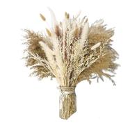 Décorer la Maison avec des Fleurs sèches, Herbe de Pampa séchée et Queue de Lapin décorative, Paquet de 100, 40-50 cm(80pcs Pampas)