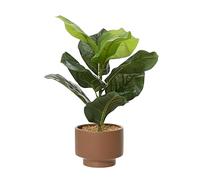 Decoris Everlands Plante Verte en polyéthylène et céramique 12 cm de diamètre, 12 cm de Largeur, 33 cm de Hauteur, Taille Unique