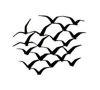 Decorizzly®, Crochets muraux décoratifs, porte-manteaux, cintres originaux BIRDS