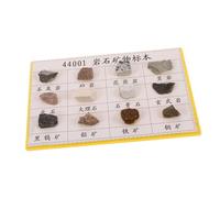 DECORNIJIA 12 Pièces Spécimens de Roches Minérales pour Laboratoire et Enseignement Éducatif avec Textures Visibles Collection et Affichage pour de Géologie