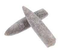 DECORNIJIA 2 Pièces Spécimens Bélemnite Naturels Accessoires Pédagogiques pour Enseignement Géologie et Paléontologie Fossiles Décoratifs et Scientifiques pour Études