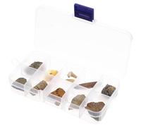 DECORNIJIA Boîte de Spécimens Fossiles 10 Pièces Trilobite et Ambre Fossile Naturel Décoration Bureau Éducative et Jeu Pédagogique Paléontologie Collection Scientifique Authentique