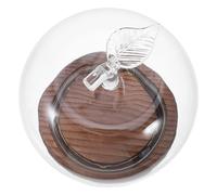 DECORNIJIA Cloche en Verre Petite Taille avec Socle en Bois Lumineux, Dôme Décoratif Anti-poussière Transparent pour Présentation D’Objets Artisanaux et Fleurs, Vitrine Protectrice