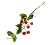 DECORNIJIA Décoration Framboise Artificielle Réaliste en Résine Modèle de Fruits Rouges Simulés Branche Unique Couleur Cerise Accessoire Photo et Décoration de Table Plante Artificielle