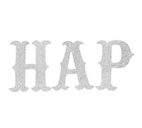 DECORNIJIA Guirlande Double Couche Happy Birthday Argentée Scintillante Bannière Lettre pour Décoration Anniversaire Intérieure et Extérieure Guirlande Fanions Festive