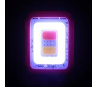 DECORNIJIA Lampe Torche à Clip pour Course Nocturne LED Rechargeable, Éclairage Mains Dégagées Multifonctionnel, Légère et Compacte, Feu de Sécurité pour Jogging, Marche et Vélo, Couleur