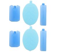 DECORNIJIA Lot de 6 Pains de Glace Réutilisables pour Glacière Taille Moyenne et Petite Blocs Froids Solide en Matériau Isotherme pour Transport Alimentaire sous Chaîne du Froid Camping