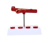 DECORNIJIA Modèle Cardiovasculaire Anatomique PVC pour Enseignement et Physiologie Représentation Réaliste des Vaisseaux Sanguins Adapté Aux Écoles et Centres d'Analyse