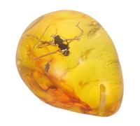 DECORNIJIA Ornement Pendentif Résine Insecte Naturel avec Spécimen Fossile Décoration Compacte et Légère pour Collection et DIY Cadeau Éducatif pour Amateurs Insectes