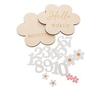 DECORNIJIA Panneaux en Bois pour Étapes Mensuelles Bébé 1 à 12 Mois Accessoires Photo -Né Cartes Souvenirs de Croissance Lot de 2 set de Suivi Mensuel Croissance Présent Shower