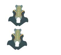 DECORNIJIA Plateaux Guide de Nail Art Queue de Poisson 100 Pcs Taille Unique Autocollants Extension Ongles Cristal Vert Professionnel Salon Manucure DIY