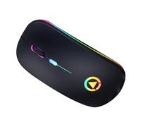 DECORNIJIA Souris sans Fil RGB Silencieuse Rechargeable, Ergonomique pour Joueurs, Lumière Respirante Multicolore, Portée 10m, Batterie Grosse Capacité, Noire Mat, Usage Professionnel