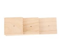 DECORNIJIA Support Exposition Bois Robuste pour Spécimens Insectes et Fleurs Séchées Bloc de Présentation pour Laboratoire et Collection Personnelle