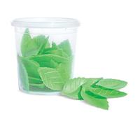 Décos Azyme 24 Feuilles Vertes
