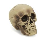 DEGUISE TOI - Décoration crâne Plastique 18 cm - Crâne - Taille Unique - Marron - Decoration/Animation - Plastique - - Halloween