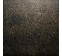 Decosa Panneau décoratif Béton aspect béton - polystyrène - anthracite - 50 x 50 cm - pour mur et plafond - 2 sachets (=4 m2)