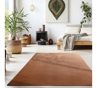 DecoTappi Tapis Modernes Design Marron 60x110 cm Poils Courts, Couleur Unique, pour Salon, Dos antidérapant