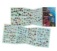 Découverte de la vie sous-marine en Méditerranée - Plaquette papier pelliculé Dépliant d'identification - TURTLE PROD - Gap Eds - Objet dérivé - Guide