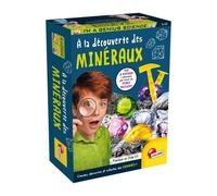 Découverte des minéraux - Kit Scientifique - I'M A GENIUS POCKET - Bloc a creuser