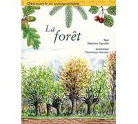 Découvrir et comprendre la forêt