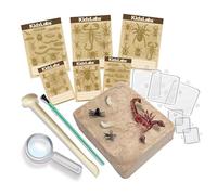 Découvrir la science - Set de coléoptères rampants