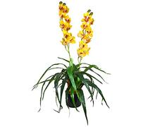 Decovego Orchidée Plante en Pot Artificielle Artificiel Sélection, Sélection Plante d'orchidée:Orchidée modèle 4