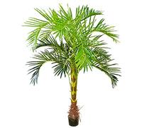 Decovego Plante Artificiel Palmier Plante Arbre Artificiel Artificielle Sélection, Sélection Plante d'palmier:Palmier modèle 3 (180 cm)