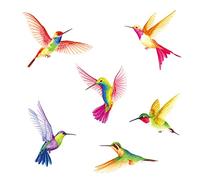 DECOWALL DS2-4002 6 grands beaux oiseaux colibris Stickers muraux volants colibris amovibles pour chambre salon Art décoration d'intérieur