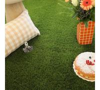 Decoweb Gazon synthétique Saint-Tropez - 50 mm - Rouleau de 1m x 21m