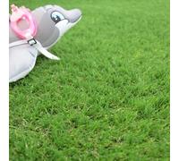 Decoweb Gazon synthétique Valençay - 25mm - Rouleau de 3.00m x 10m