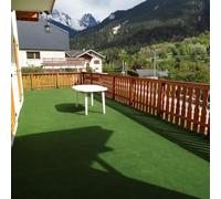 Decoweb Moquette d'extérieur Verte sur plots - Rouleau de 2m x 12m