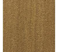 Decoweb Paillasson - Tapis Brosse Coco - Écru - EP. 23.00mm - Rouleau de 2m x 1m