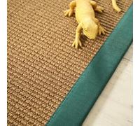 Decoweb Tapis Sisal Grosses Boucles - Cuba Havane - Ganse Vert émeraude - 200 x 200 cm